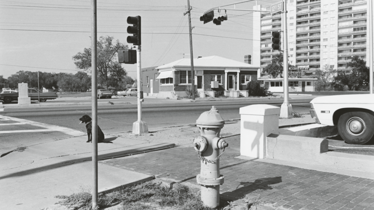 Lee Friedlander