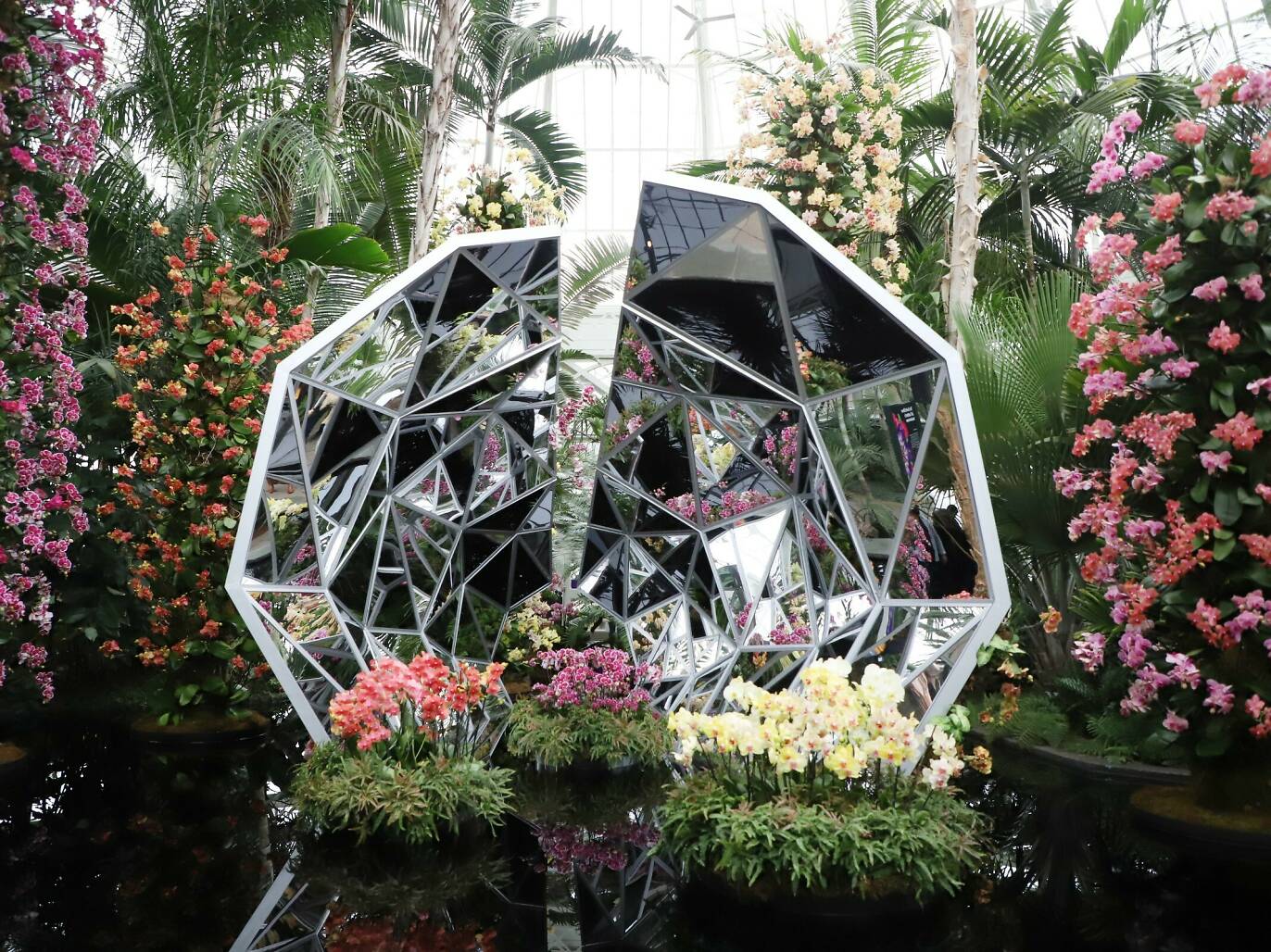 Orchid Show in NYC Guide With 2022's Theme And Ticket Info