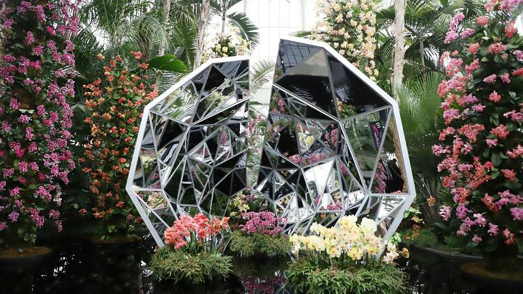 NYBG Orchid Show 2022