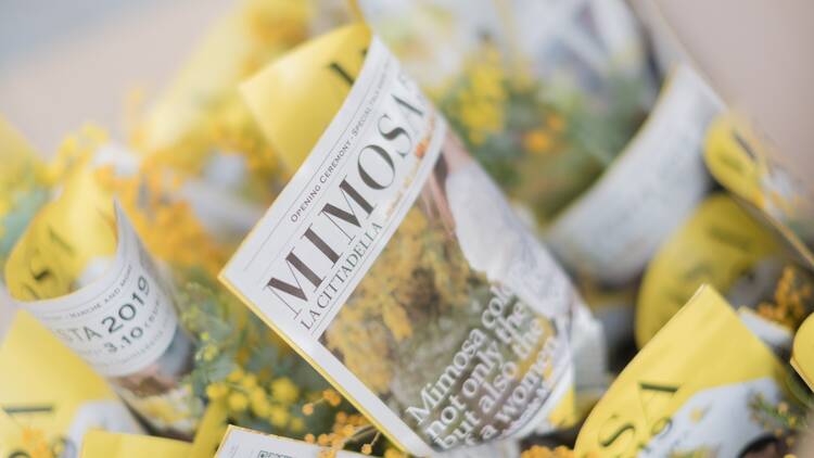 Mimosa Festa