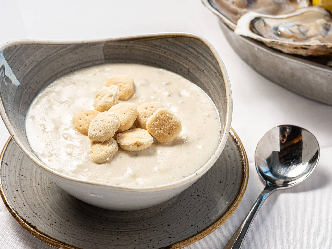 20 Best Clam Chowders in Boston Creamy and Rich Bowls to Try