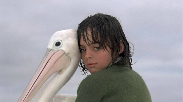 A boy and his pelican