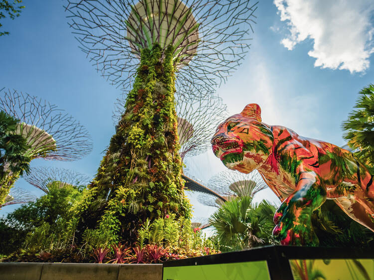 Embark on a mini adventure and hit the Tiger Trail at Gardens By The Bay