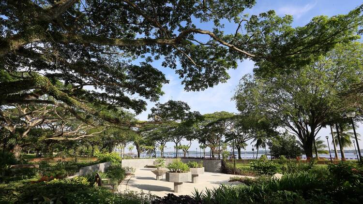 Bring some zen to your day at these new therapeutic gardens in Pasir Ris Park and Bedok Reservoir