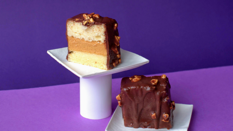 Two violet crumble lamingtons on a purple background