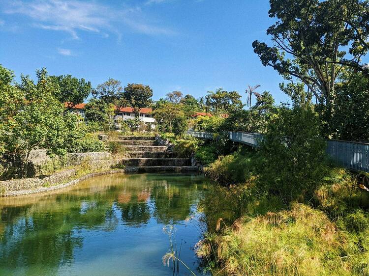 Yunnan Garden