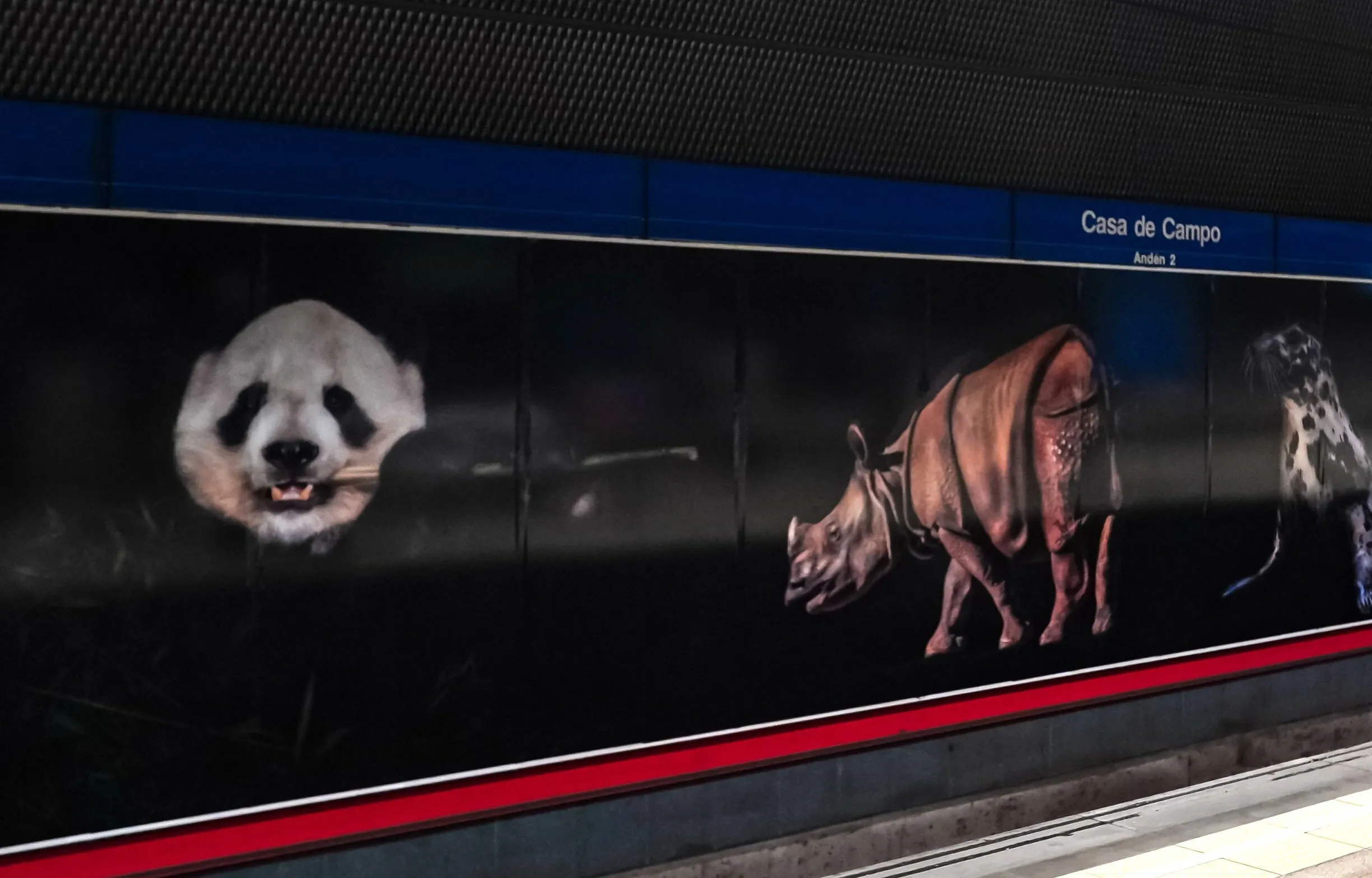 Murales Metro Casa de Campo