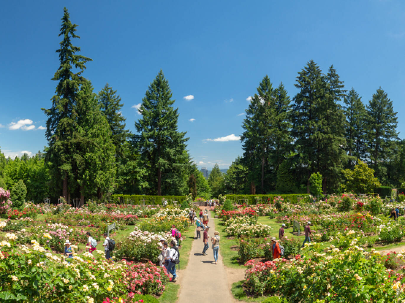 17 Best Things to Do in Portland, Oregon Right Now