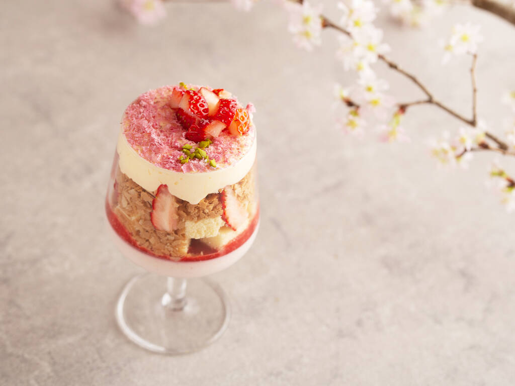 20 best cherry blossom desserts and drinks