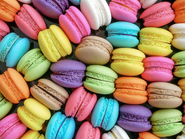 The best things to do in Boston this weekend