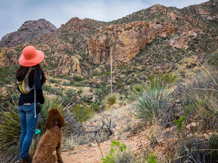 Tucson, AZ