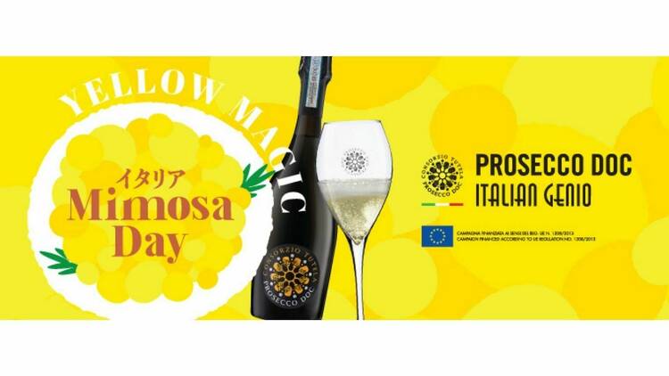 Mimosa Day