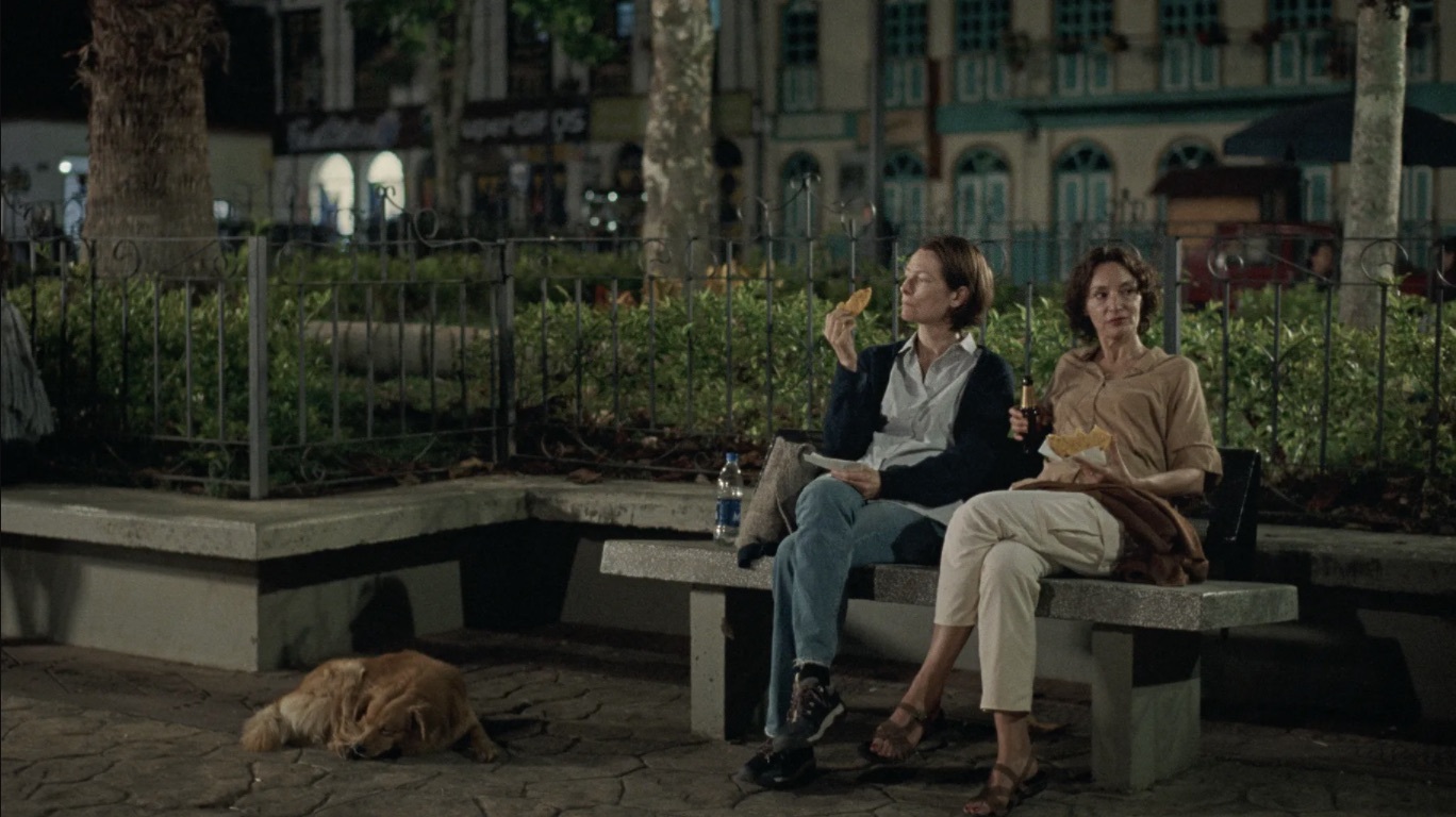 NEON/Apichatpong Weerasethakul