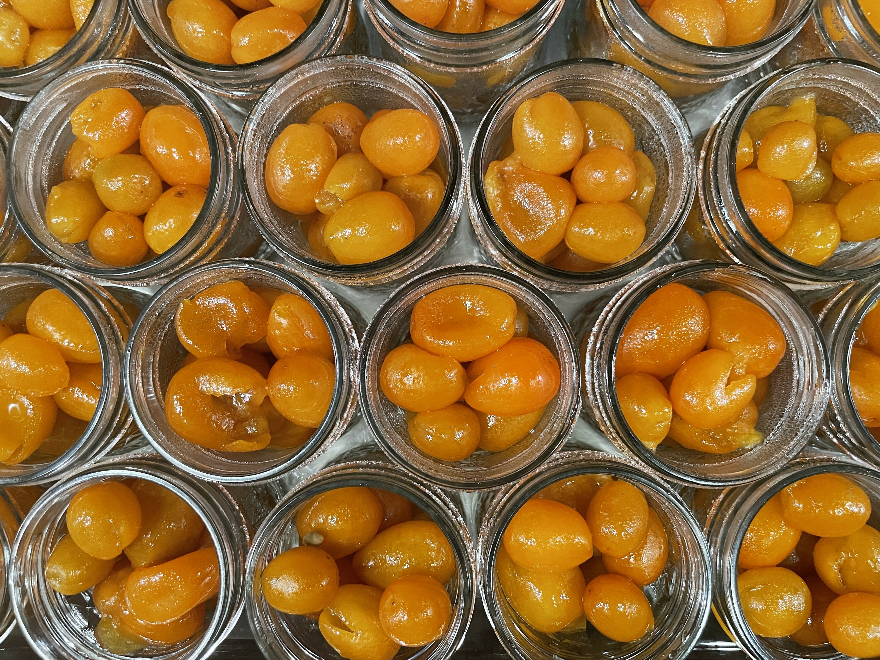 NYC's Té Company is preserving and selling jars of Nagami kumquats