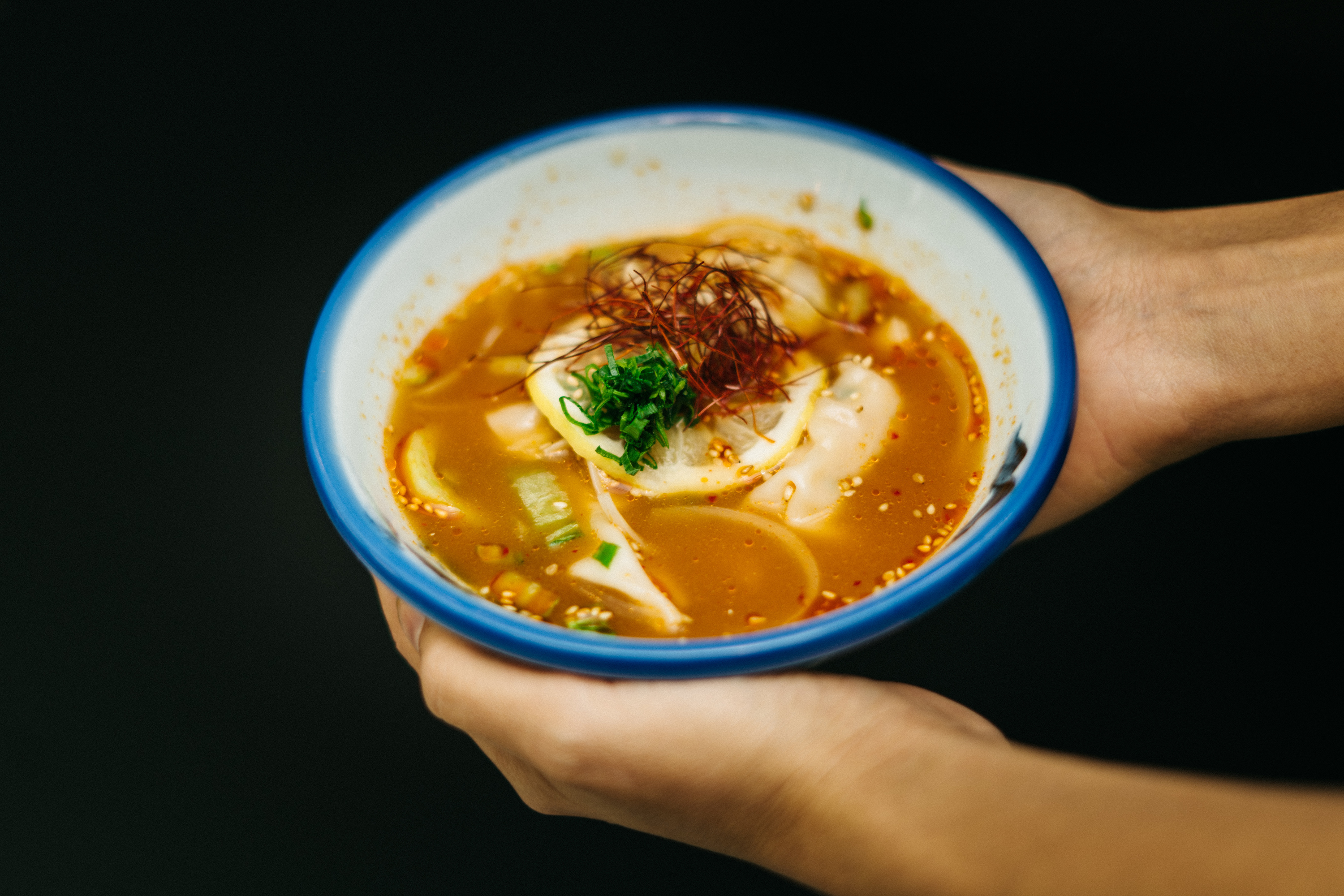 Gyoza soup