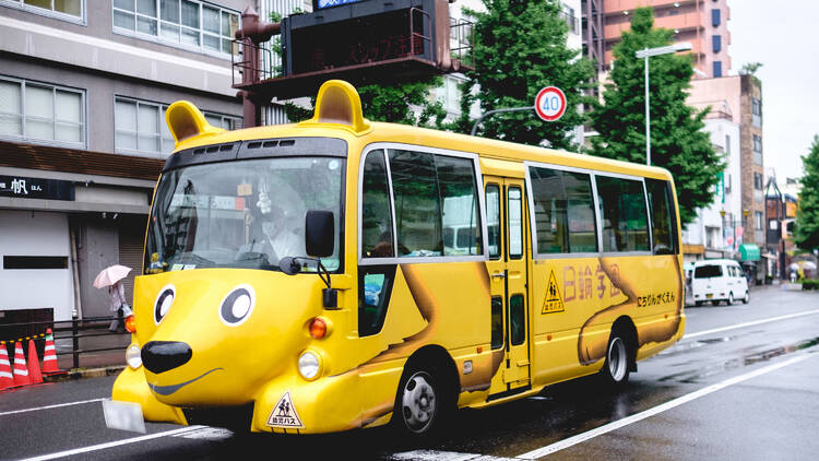 Yellow dog school bus