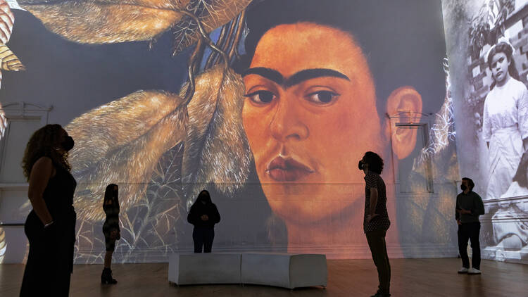 Frida: Immersive Dream