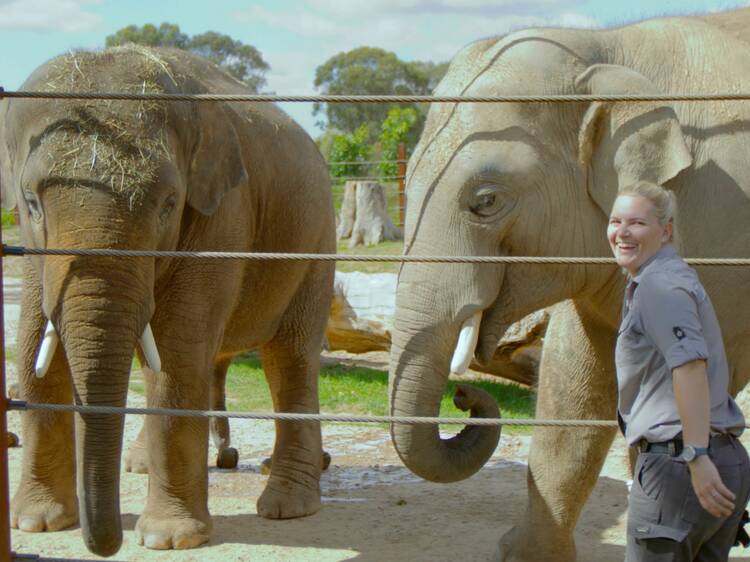 Joanne Maitland at Sydney Zoo