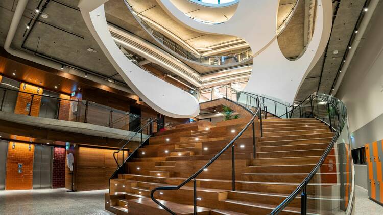 A wooden staircase inside of the Victorian Pride Centre.