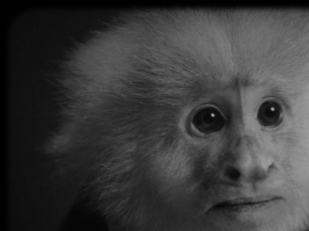 17 Best Mystery Movies on Netflix