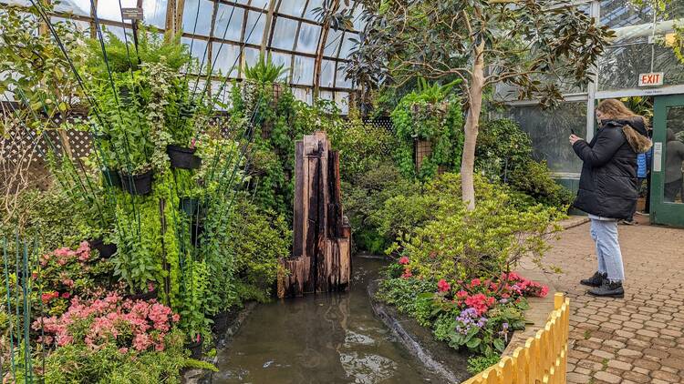 Lincoln Park Conservatory - What To Know BEFORE You Go