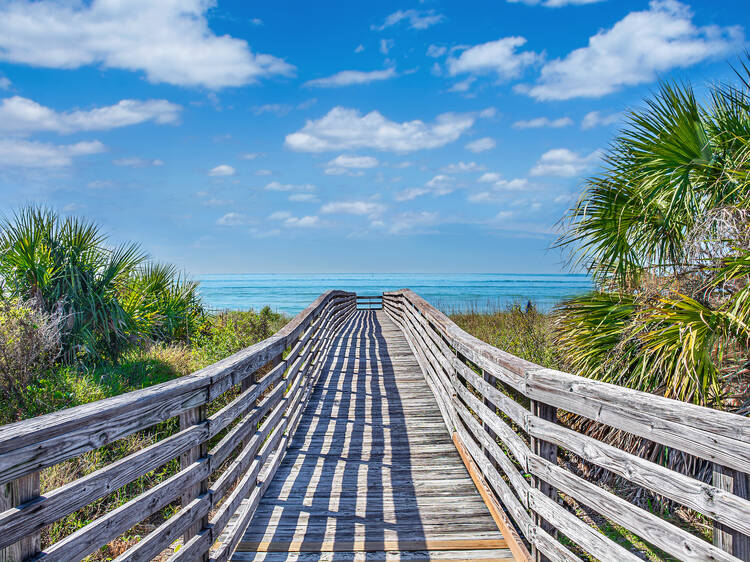 Honeymoon Island State Park, FL