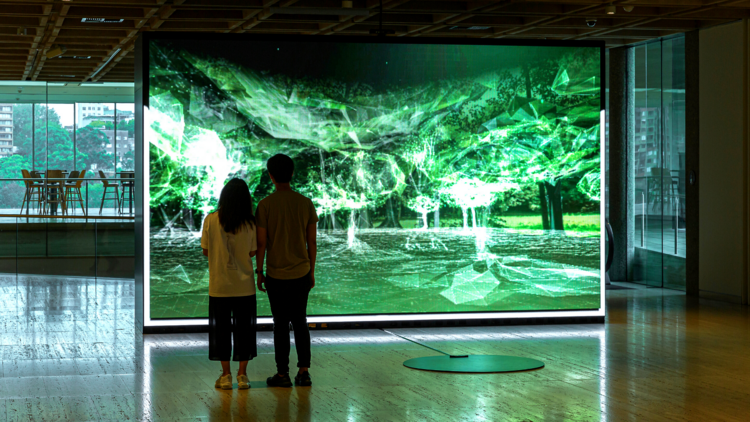 Installation view at AGNSW