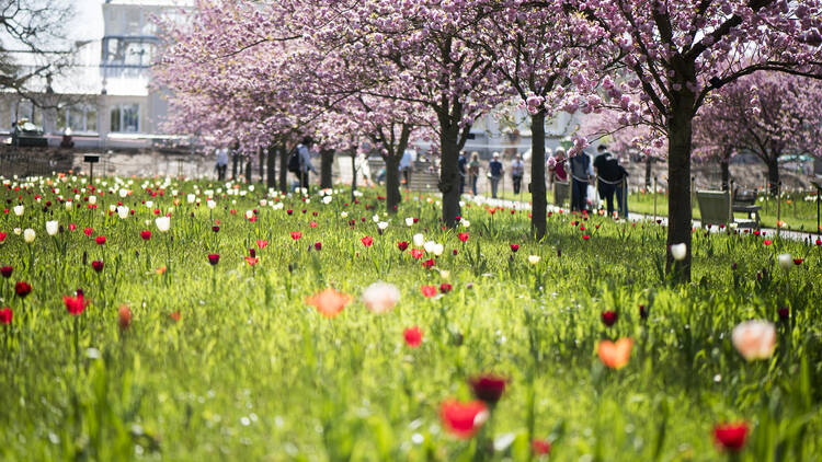 Spring at RBG Kew.