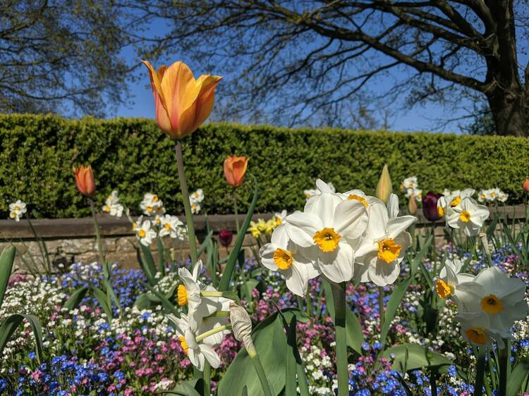 Horniman Museum Spring Fair