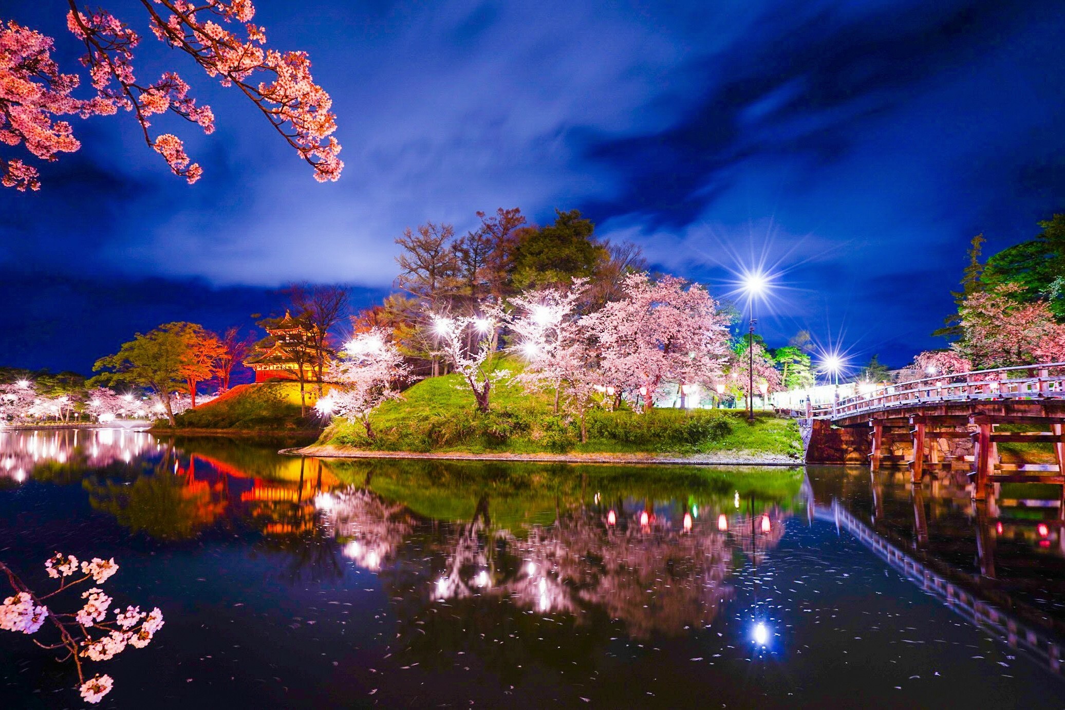 See 4,000 cherry blossoms light up at Niigata's Takada Castle this spring