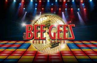 bee gees saturday night fever 320