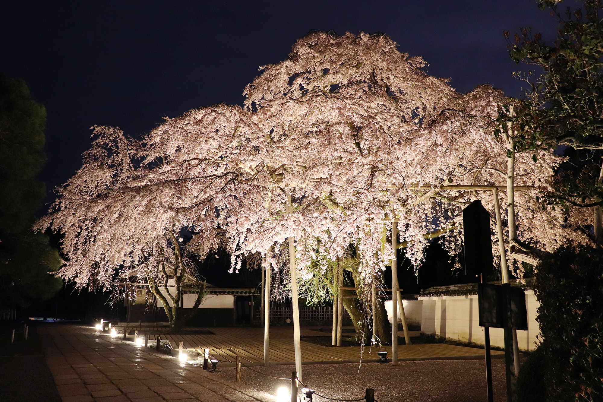 Daigoji Temple Kyoto