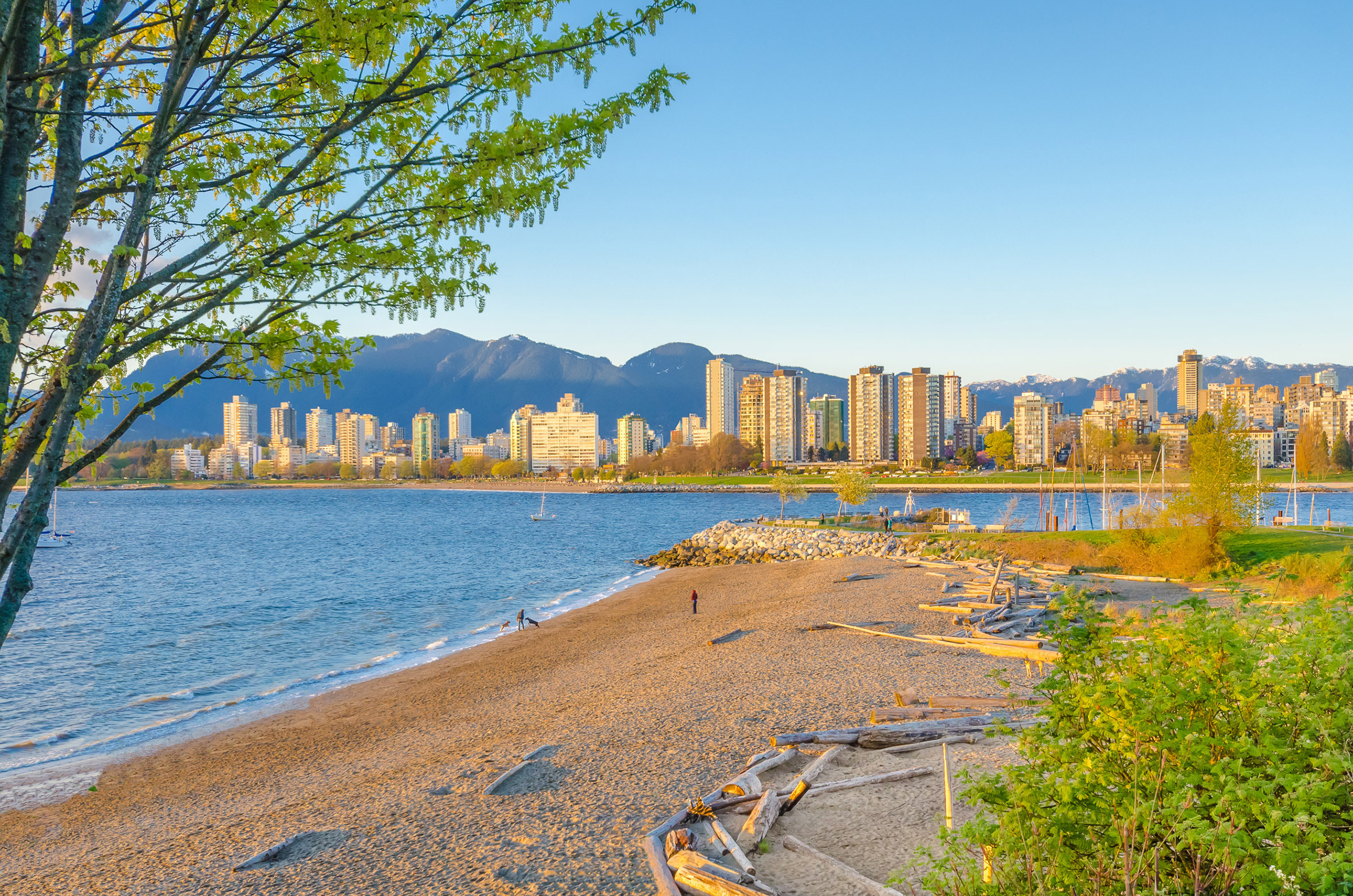 12 Best Beaches in Vancouver for Sunny Serenity