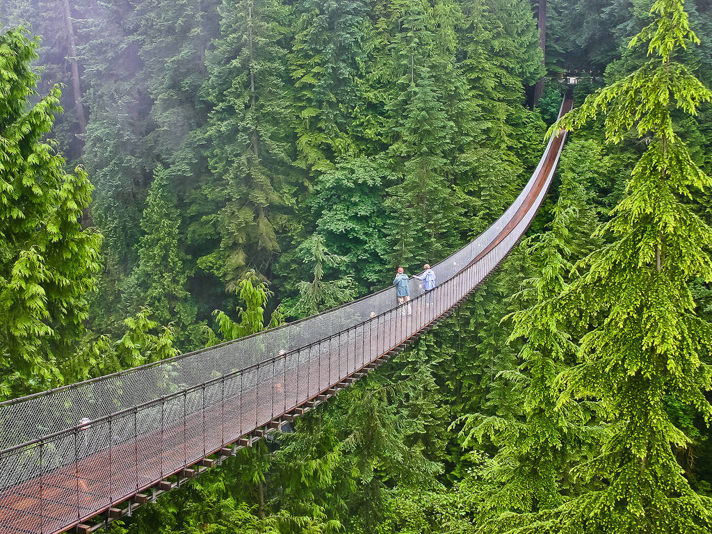 10 BEST THINGS TO DO IN VANCOUVER visual data 7