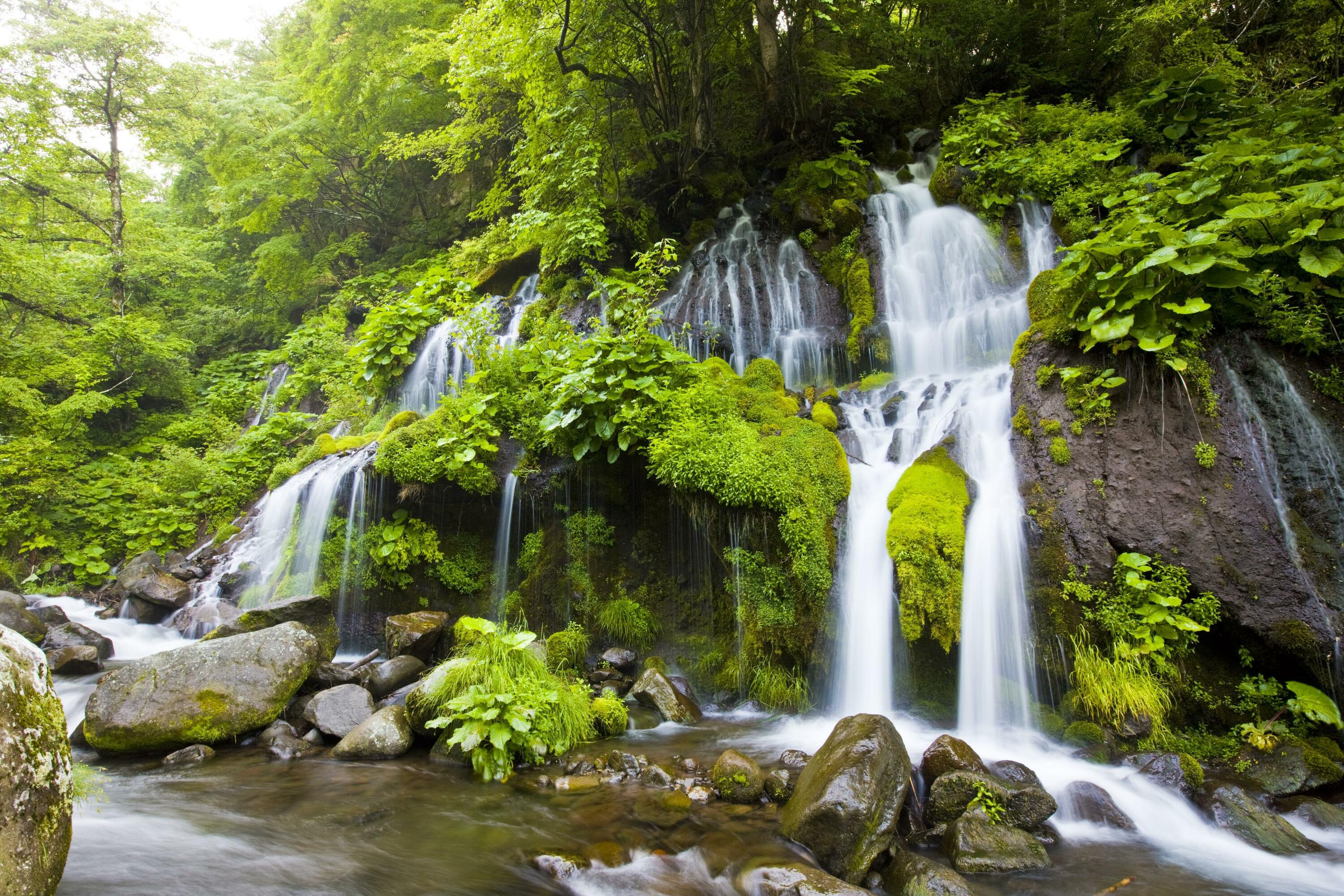 山梨 絶景に入り込む週末旅
