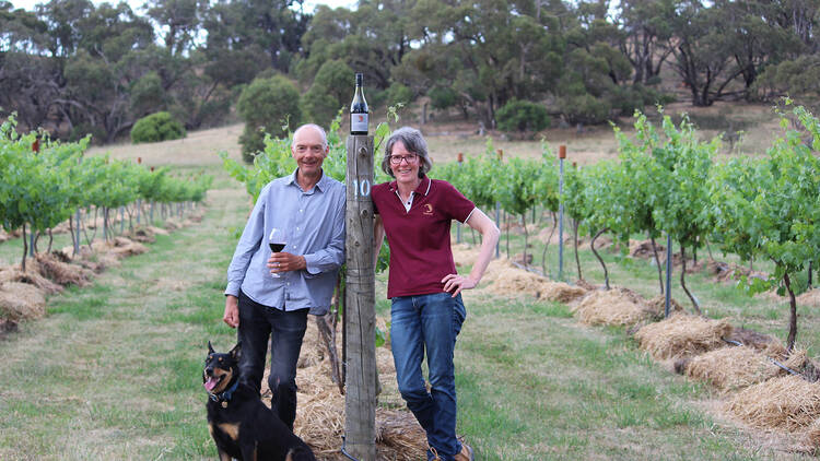 A man, woman and dog standing in an orchard. 