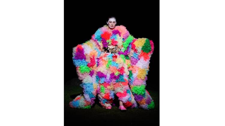 Tomo Koizumi: World of Frills Tomo Koizumi
