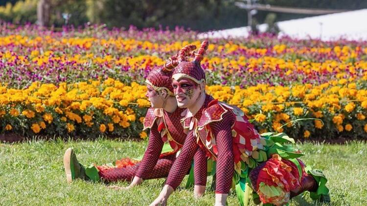 Two people dressed up as flowers and sitting in a field of flowers.