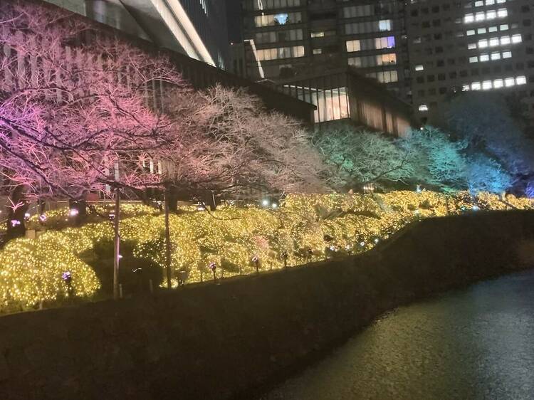 Kioi Spring at Tokyo Garden Terrace