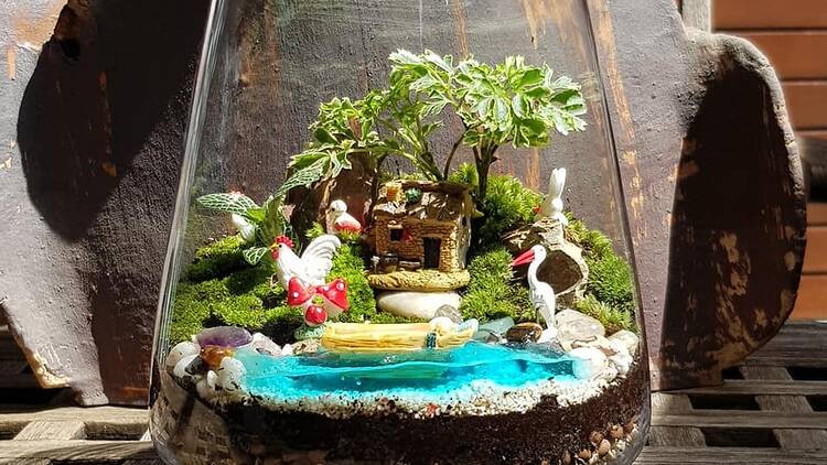 Terrarium Making Terrarium Making
