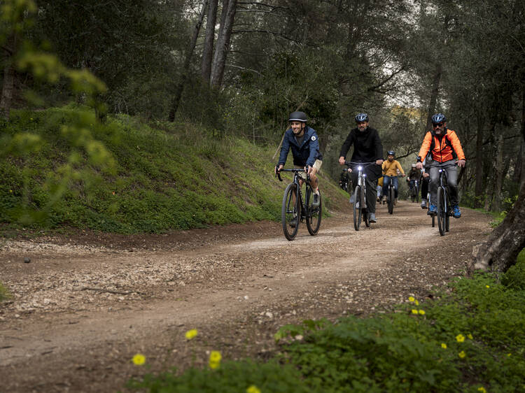 Se é eléctrica não faço exercício físico