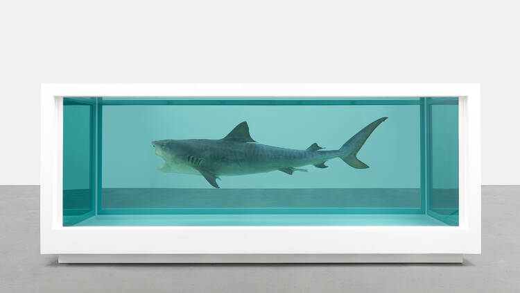 DAMIEN HIRST Death Denied, 2008