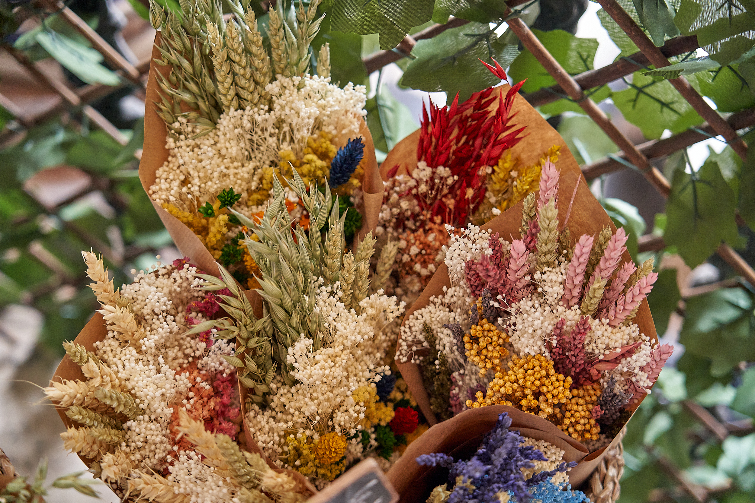 Catarina Sampaio Soares Flower Design