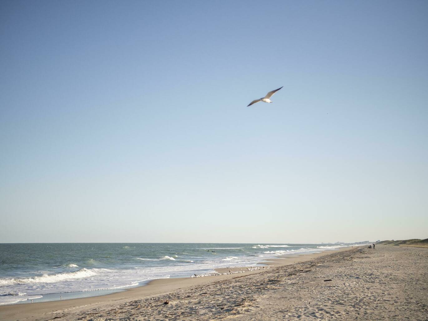 9 Best Things to Do in Cocoa Beach