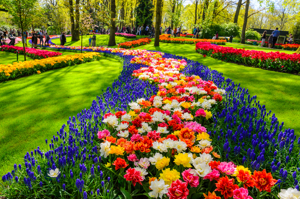 The Netherlands’ biggest tulip garden has just reopened – with seven million blooms