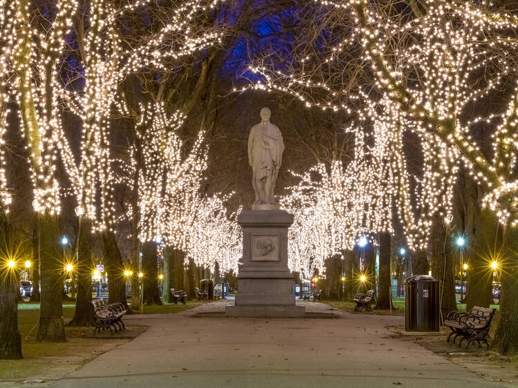 Commonwealth Avenue Mall