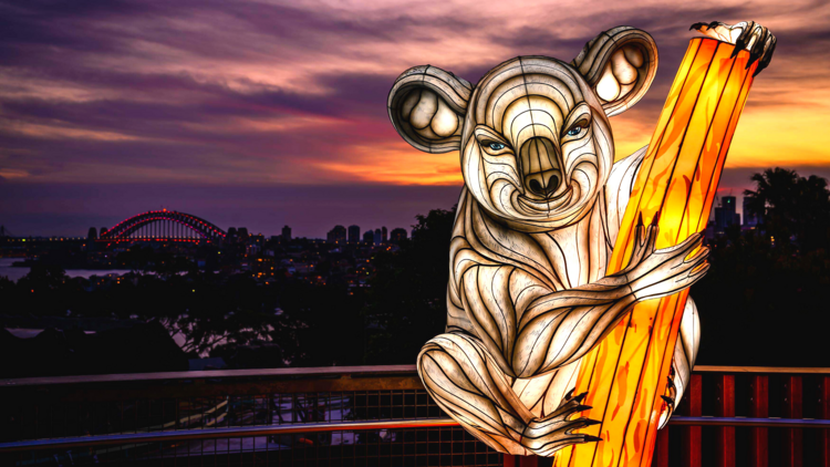 Koala lantern at Taronga with Harbour Bridge in background and dusk sky