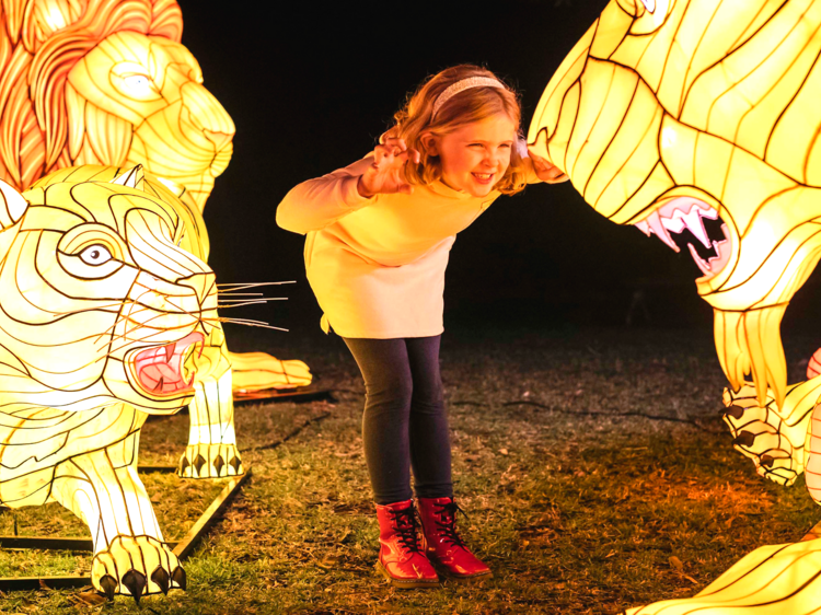 Wild Lights at Taronga Zoo