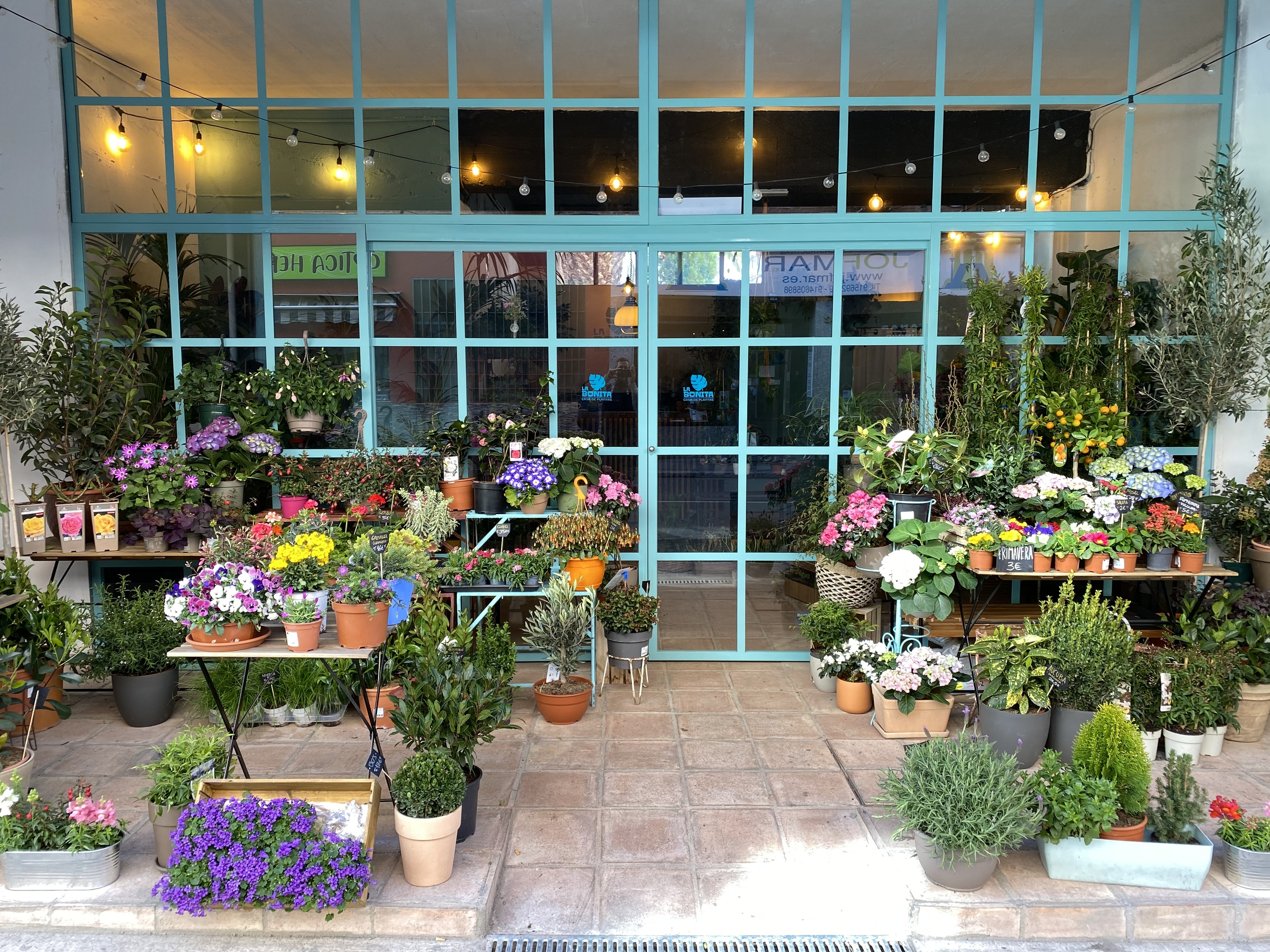 Floristería en Usera La bonita casa de plantas