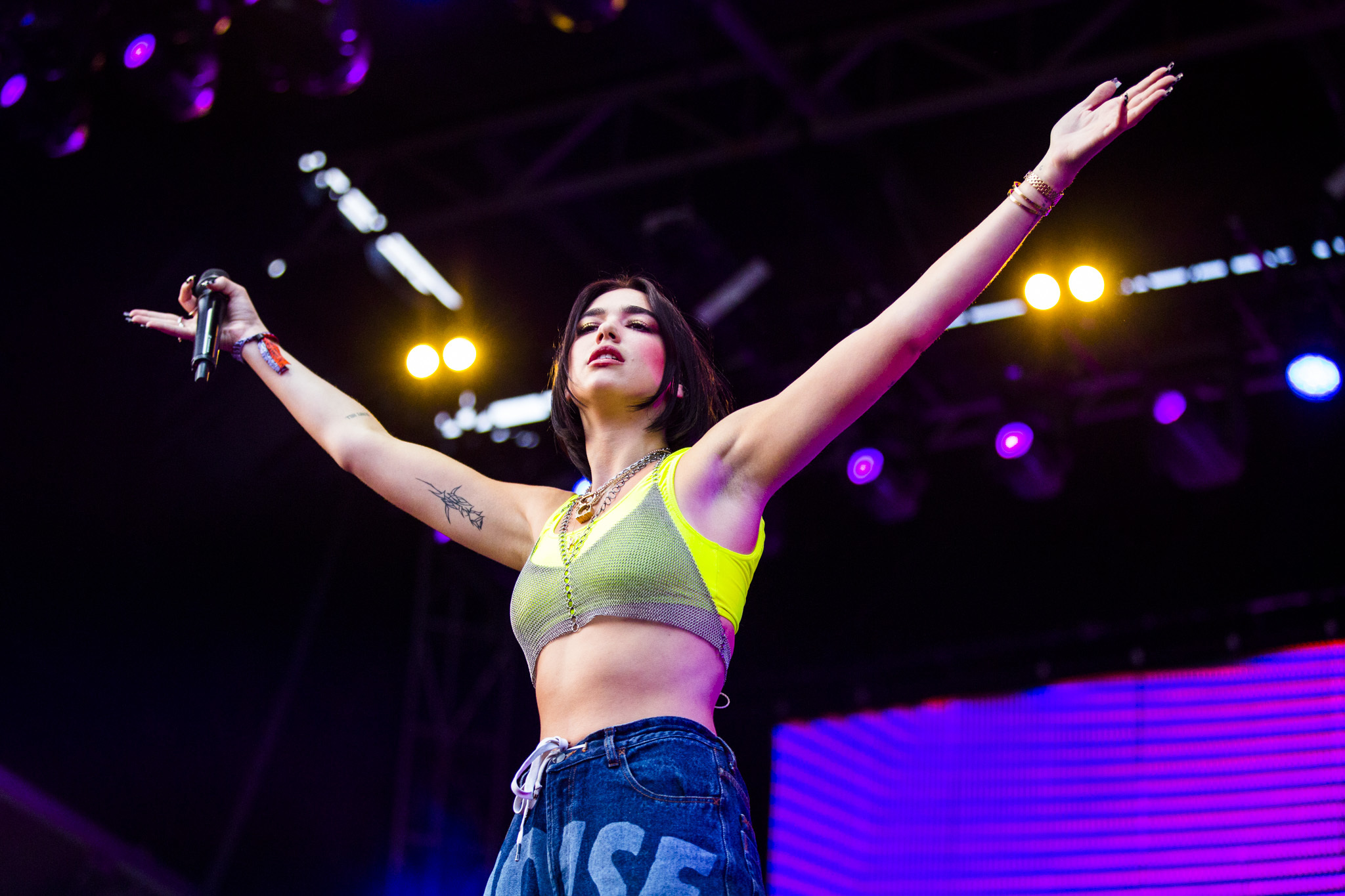 Lollapalooza's Daily Schedule Is Here: See When Dua Lipa, Metallica, Green  Day & More Are Playing